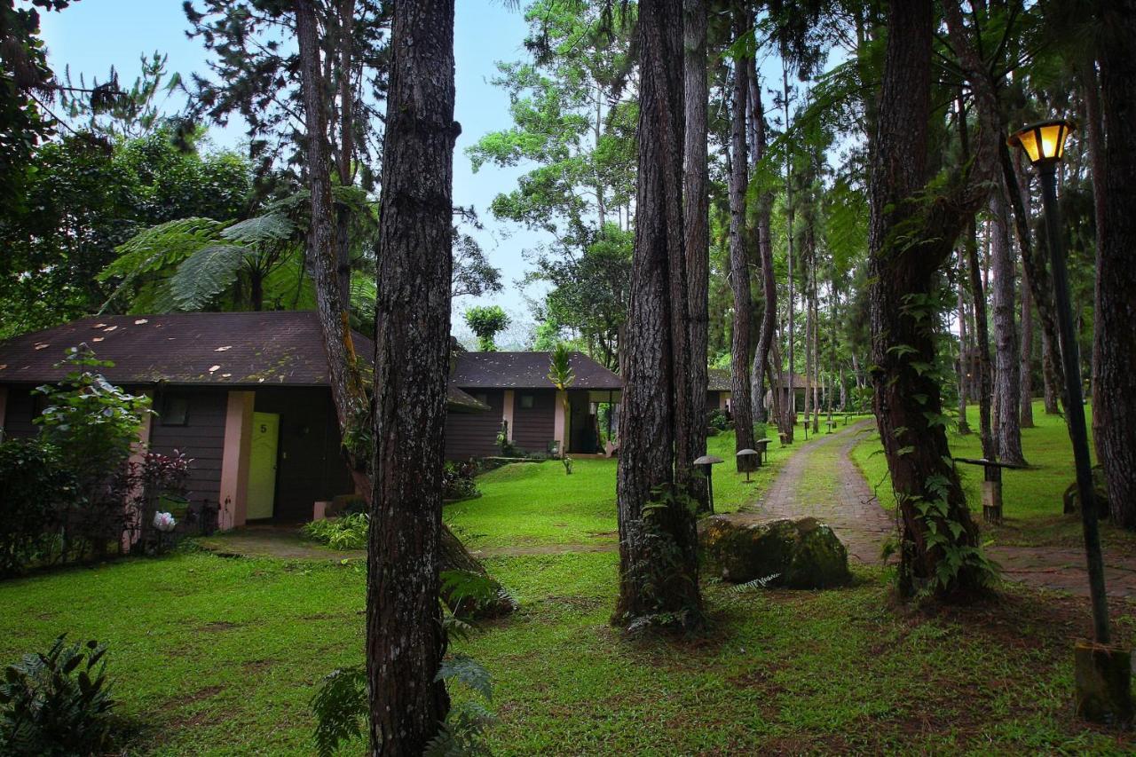 Eden Nature Park And Resort Davao City Exteriér fotografie